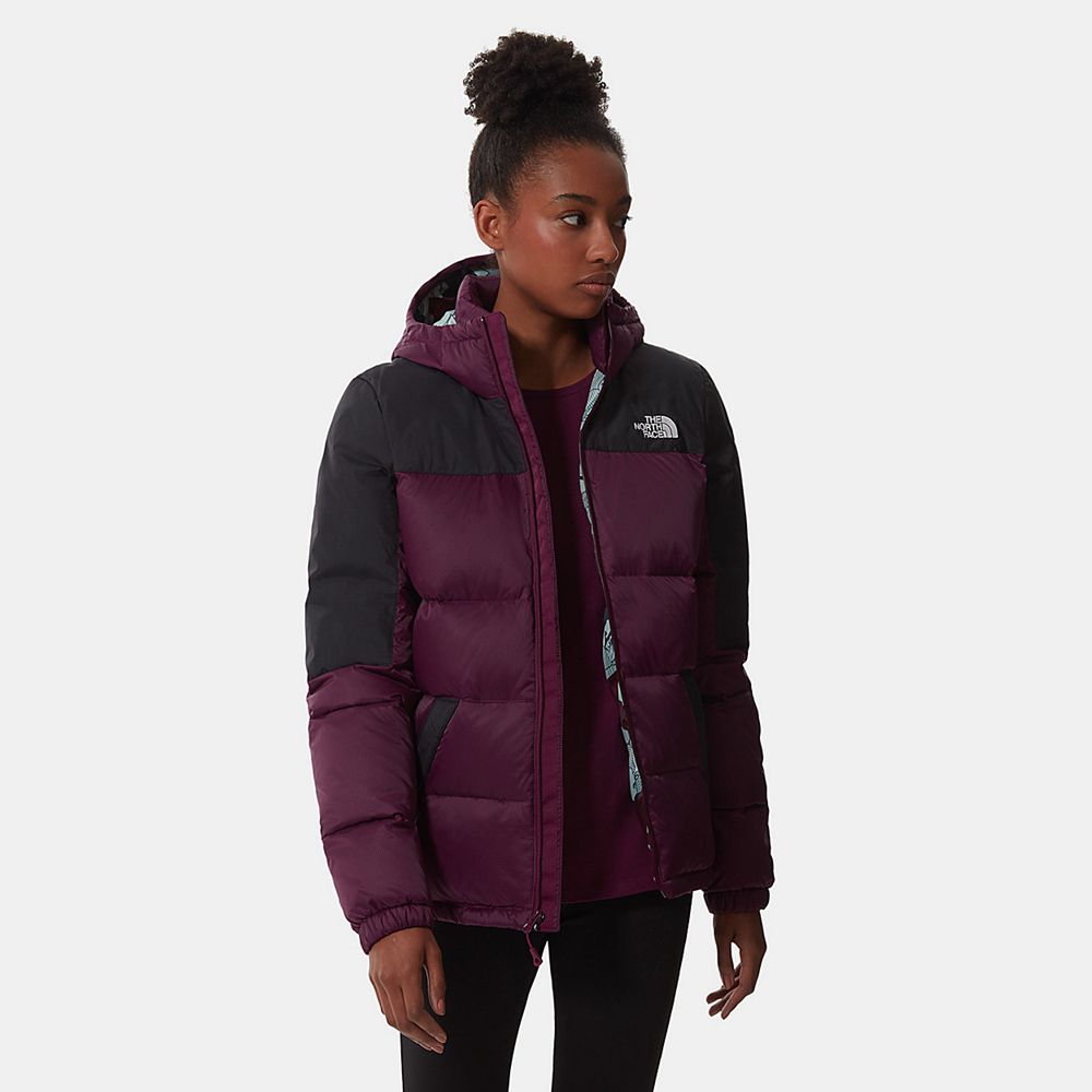 The North Face Winter Jacket Womens Australia - The North Face Diablo Hooded Purple Hiking (TOI-8214